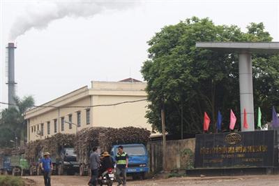 Công ty cổ phần mía đường Sơn Dương 